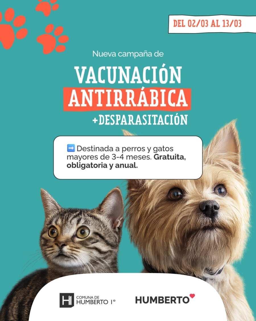 Promoci&oacute;n de la campa&ntilde;a.