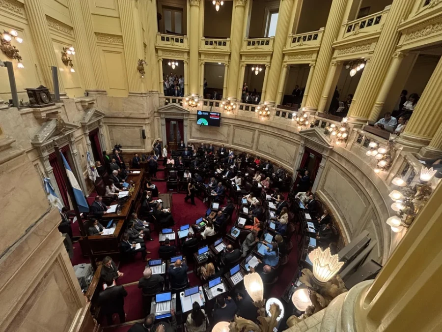 El Senado de la Naci&oacute;n.
