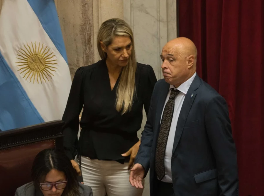 La senadora santafesina Carolina Losada y el representante de San Luis, Bartolom&eacute; Abdala, en el recinto. (FOTO NA)