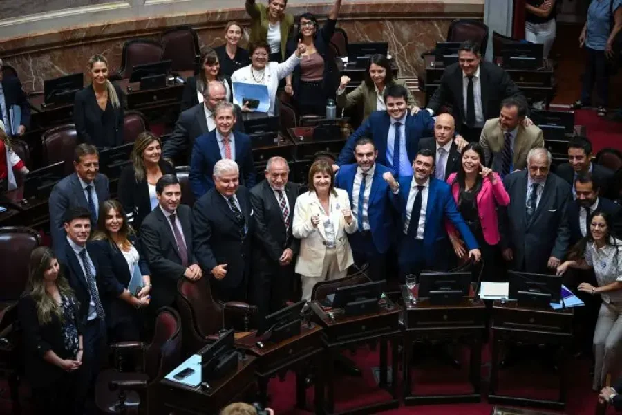Los libertarios y sus aliados celebraron tras la aprobaci&oacute;n de la &uacute;ltima ley de extraordinarias. (PRENSA SENADO ARG)