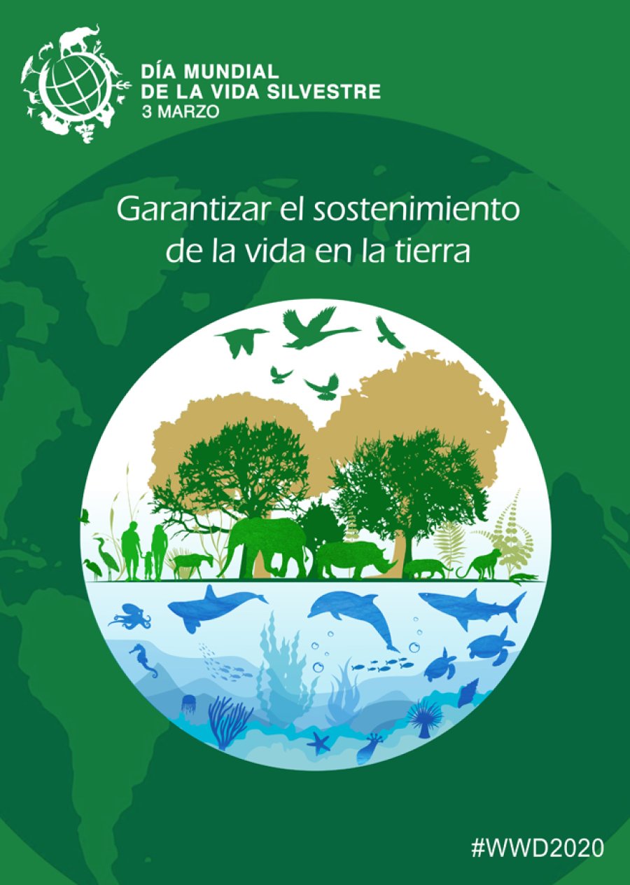Cartel  resaltando la efem&eacute;ride en 2020.