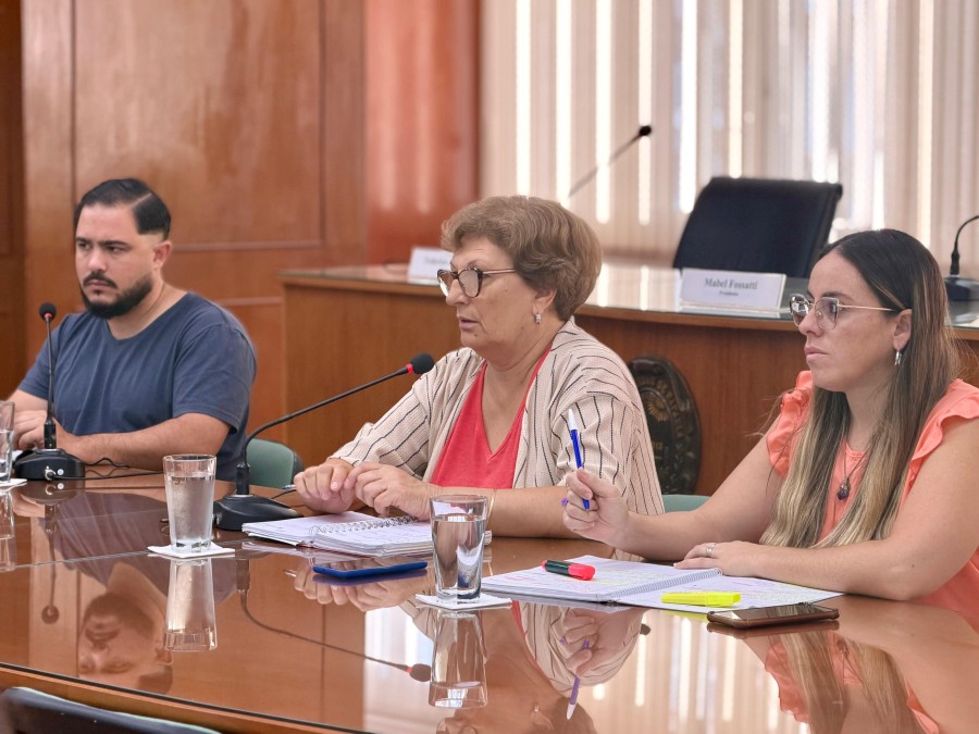 La reuni&oacute;n de comisiones del Concejo analiz&oacute; dos proyectos, pero no gener&oacute; nuevos despachos.