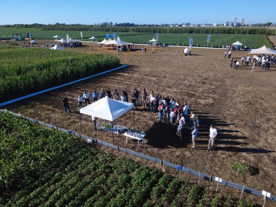 La Expo Lehmann incluy&oacute; demostraciones a campo que fueron muy bien valoradas por los productores. (FOTO CGL)