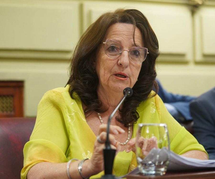 &ldquo;Las afecciones de la salud mental forman parte de una de las problem&aacute;ticas m&aacute;s complejas de salud p&uacute;blica", dijo Bar&oacute; Graf.