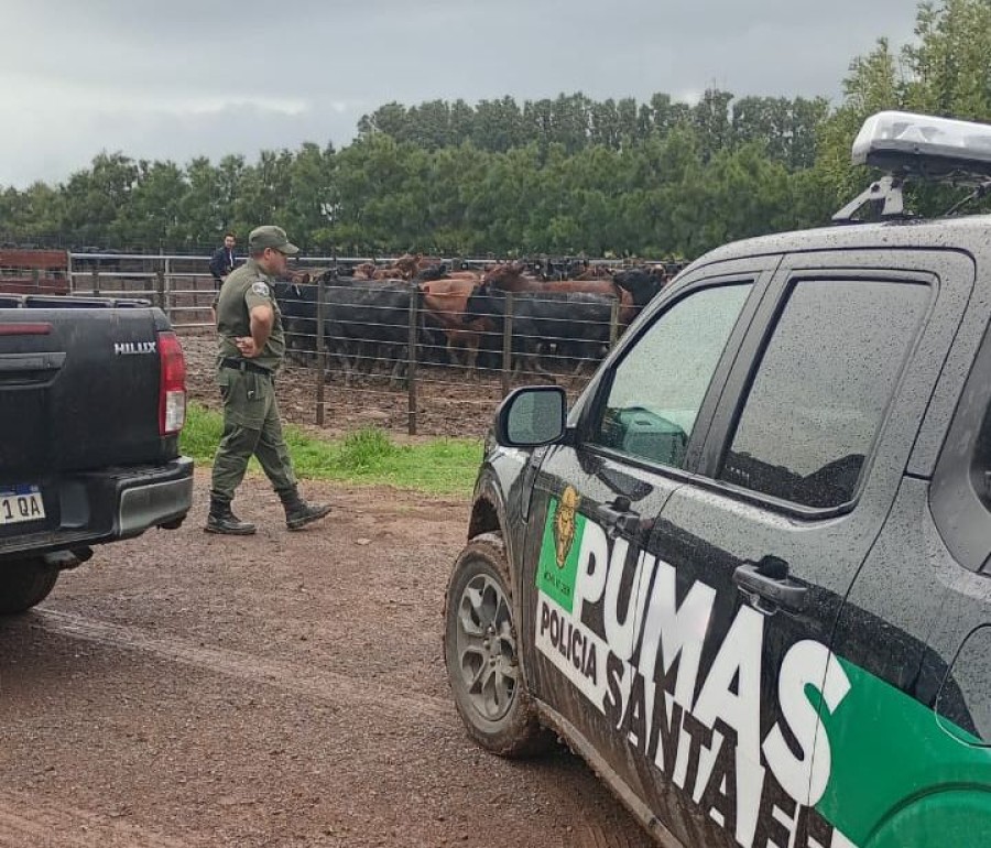 La Divisi&oacute;n Los Pumas de la Polic&iacute;a de Santa Fe durante el operativo en Chab&aacute;s.