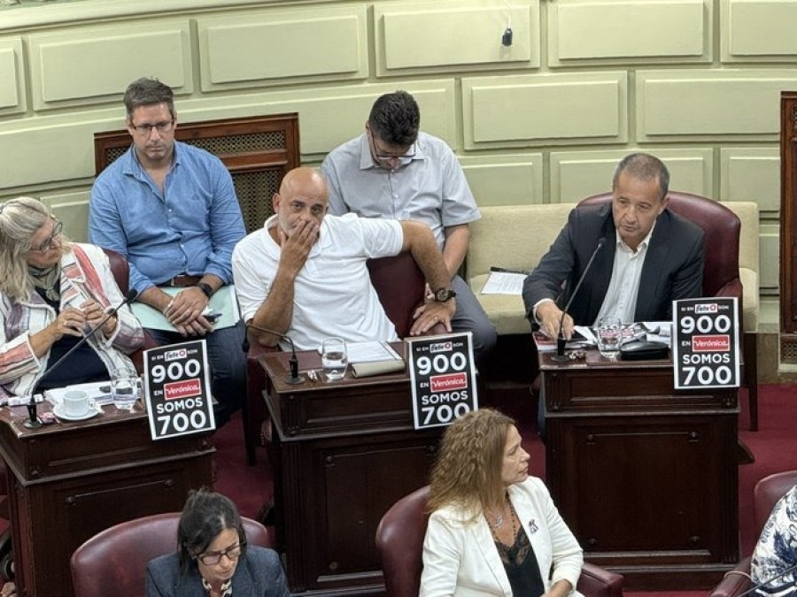 En la sesi&oacute;n del jueves en la C&aacute;mara de Diputados, Claudia Balagu&eacute;, Palo Oliver y Carlos Del Frade colocaron en sus bancas un cartel con un mensaje sobre Ver&oacute;nica.
