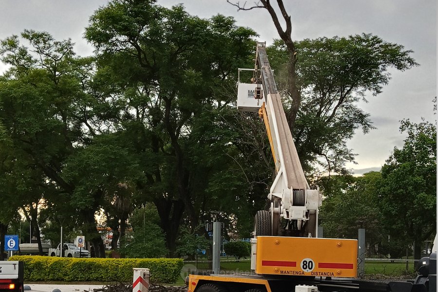 Labor concretada por una cuadrilla municipal.