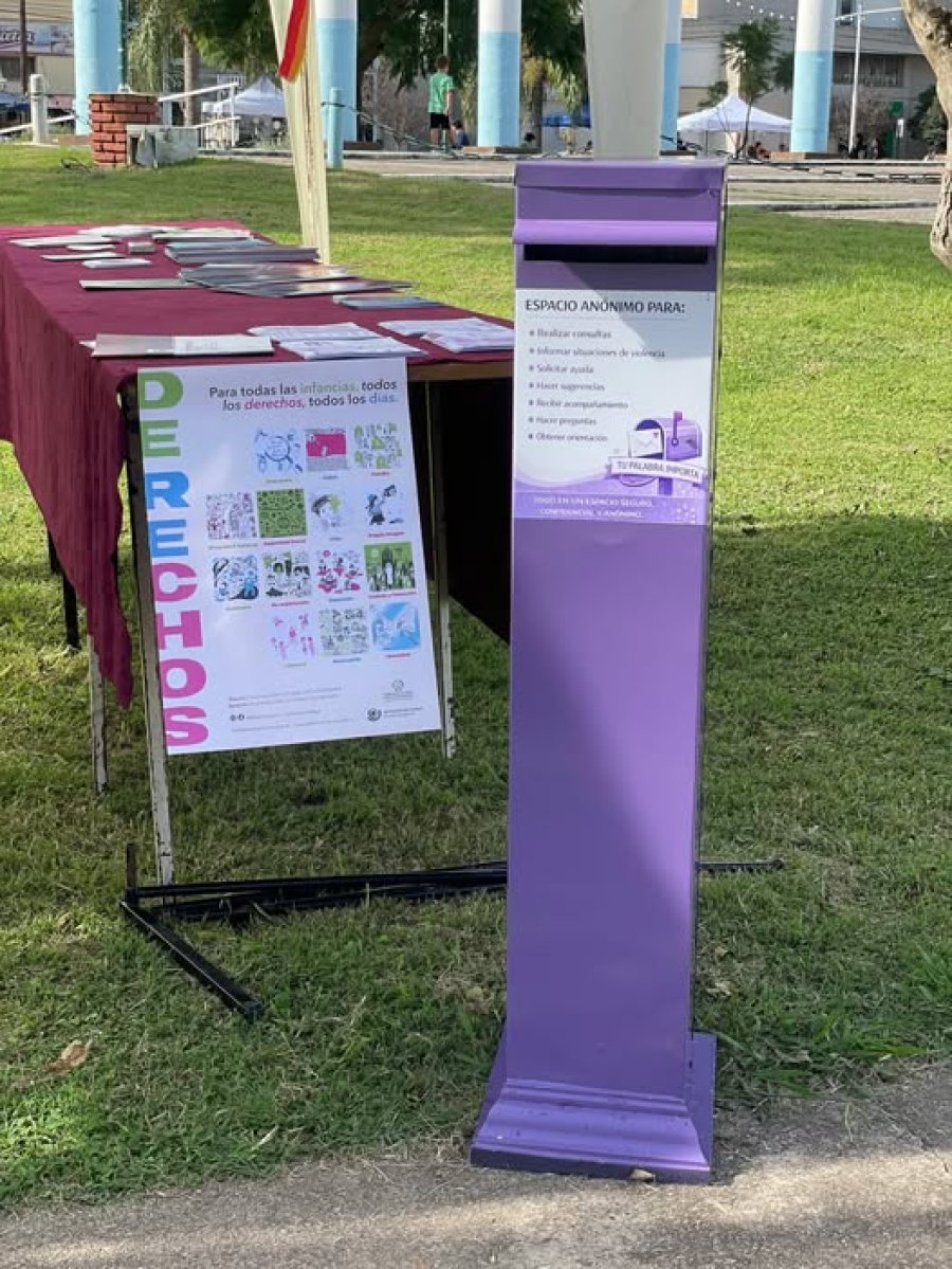Buz&oacute;n violeta.