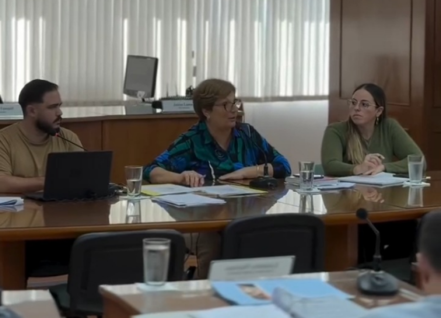 La presidente del Concejo, Mabel Fossatti, se sum&oacute; a los reproches contra Dellsanta. (FOTO CAPTURA VIDEO CONCEJO)