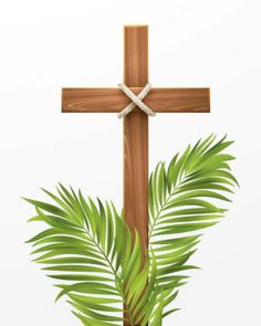 BENDICI&Oacute;N DE RAMOS. Difundieron el programa de Misas para el fin de semana.