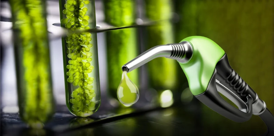 El Gobierno aument&oacute; el corte de biocombustibles para morigerar el aumento del petr&oacute;leo.