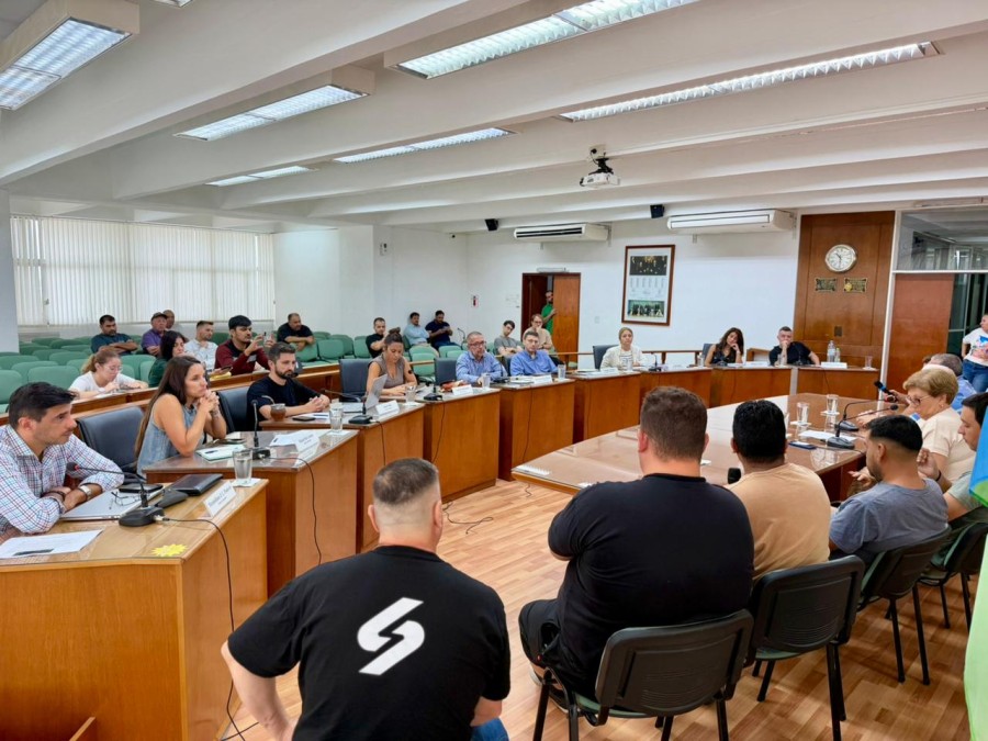 Remiseros y concejales, frente a frente, en el recinto este viernes por la ma&ntilde;ana. (FOTO PRENSA CONCEJO)