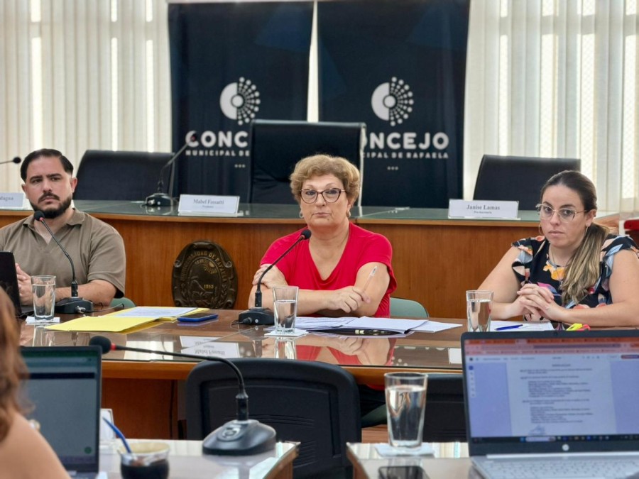 Mabel Fossatti presidi&oacute; la habitual reuni&oacute;n de comisiones de los lunes por la ma&ntilde;ana. (FOTO PRENSA CONCEJO)