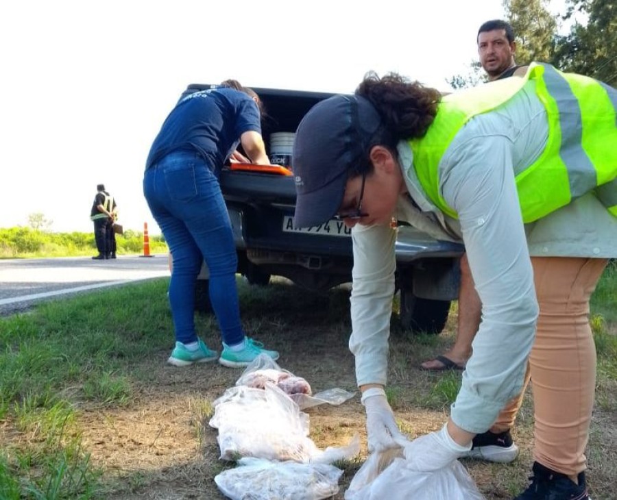 Los operativos se enmarcan dentro del plan de control de Semana Santa.