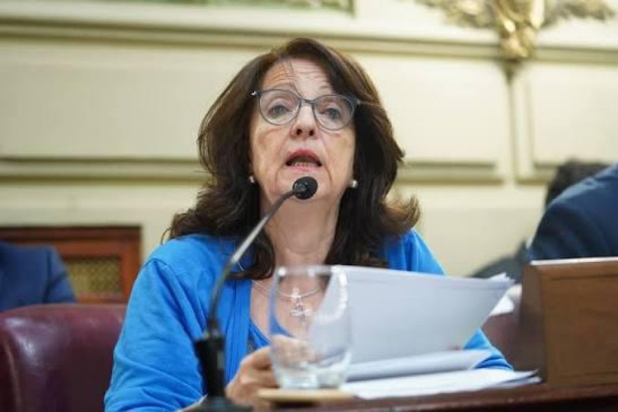 VERONICA BARO GRAF. . La legisladora tambi&eacute;n anticip&oacute; que pedir&aacute; su urgente tratamiento en el recinto.