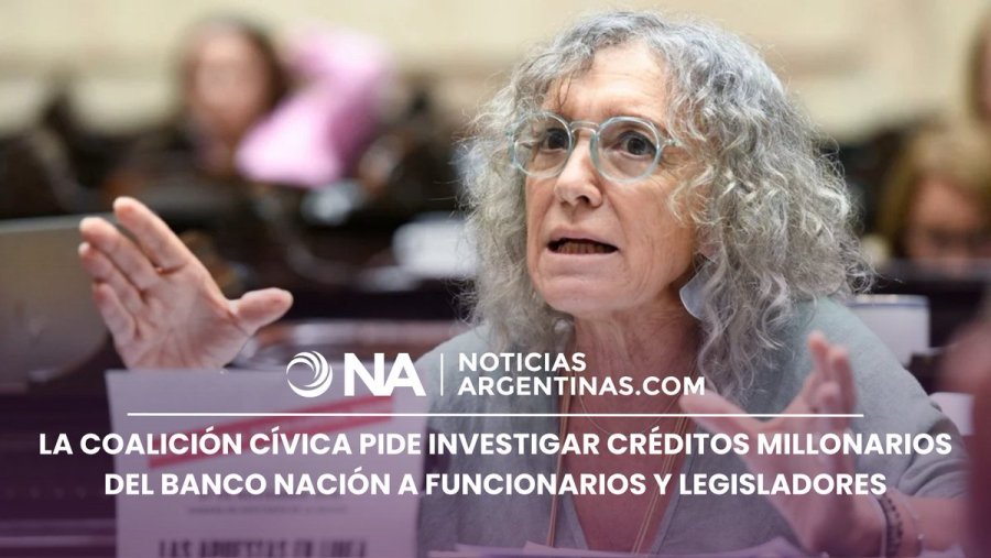 INVESTIGACION. M&oacute;nica Frade, diputada nacional de la CC-ARI, present&oacute; una denuncia penal.