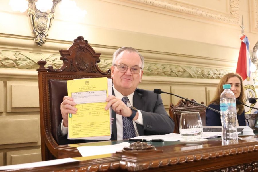 El presidente provisional del Senado, Felipe Michlig, muestra la flamante Ley Org&aacute;nica de Municipios, la primera derivada de la nueva Constituci&oacute;n provincial.