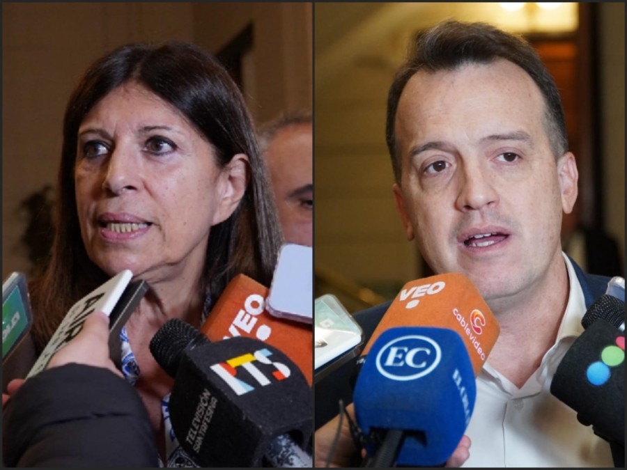 Los diputados provinciales Clara Garc&iacute;a y Joaqu&iacute;n Blanco, referentes del socialismo santafesino.