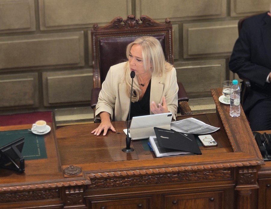 "A partir de un hecho horroroso cometido por un joven que va a la escuela, nos ponemos a pensar y a repensar qu&eacute; medidas se pueden tomar", expres&oacute; Vranicich. (PRENSA MPA)