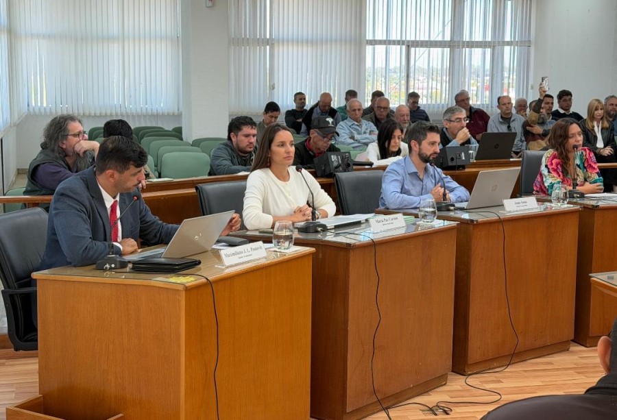 Postovit, Caruso, Senn y Soltermam integran el bloque de concejales del PJ.