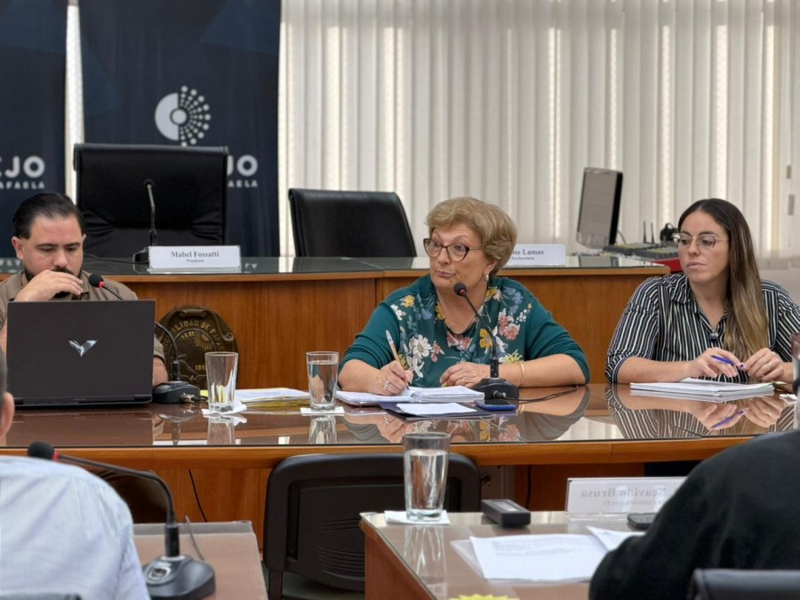 Mabel Fossatti presidi&oacute; la reuni&oacute;n de comisiones que tuvo momentos picantes. (FOTO PRENSA CONCEJO)