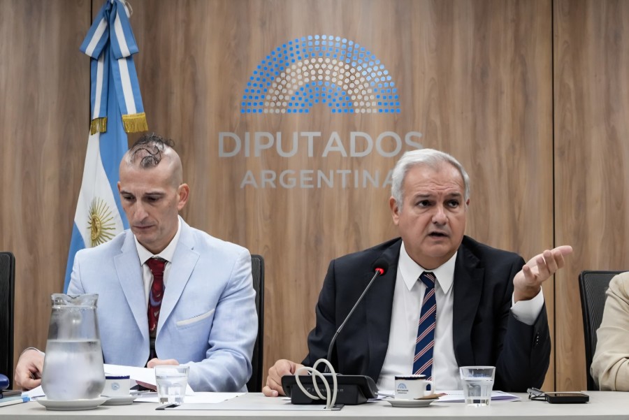 "Queremos que la C&aacute;mara de Diputados sea la caja de resonancia de lo que atraviesan las pymes", dijo Pablo Far&iacute;as.