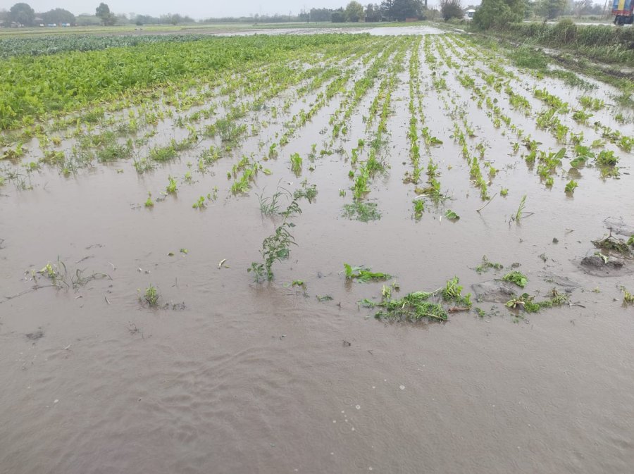 PERDIDAS MILLONARIAS. Los da&ntilde;os ocasionados por las intensas lluvias de los &uacute;ltimos d&iacute;as est&aacute;n siendo evaluados.