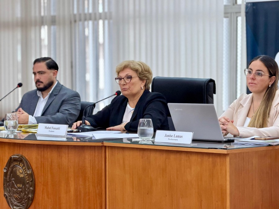 La presidenta del Concejo, Mabel Fossatti, debe esforzarse para conducir la sesi&oacute;n ante los continuos cruces entre los ediles de los distintos bloques. (FOTO PRENSA CONCEJO)