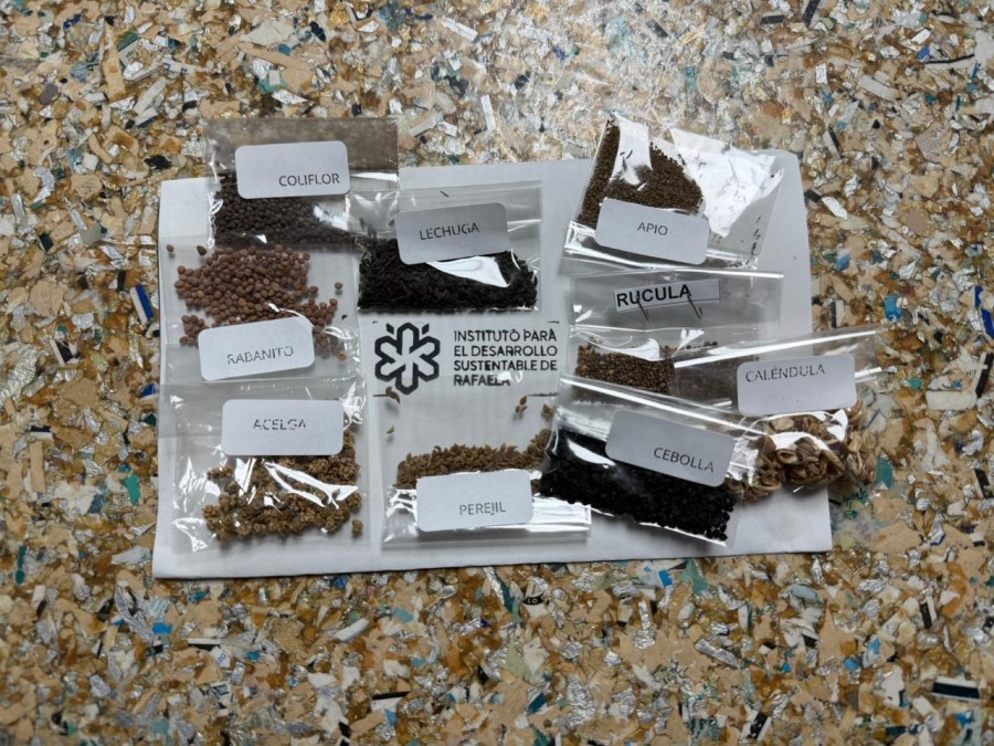 Kit de semillas para huerta.