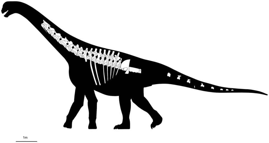 Una reconstrucci&oacute;n de la figura del Bicharracosaurus.