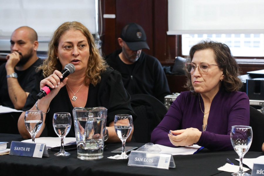 ENCUENTRO. Ciancio manifest&oacute; su preocupaci&oacute;n por la demora en la entrega de vacunas antigripales y el recorte dr&aacute;stico del Programa Remediar.
