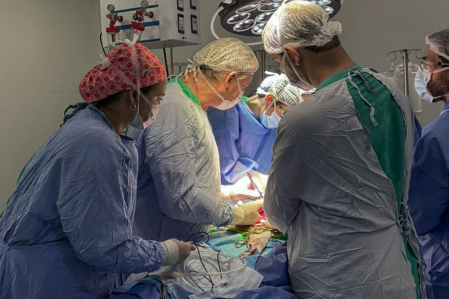 Tres de las donaciones fueron multiorg&aacute;nicas.