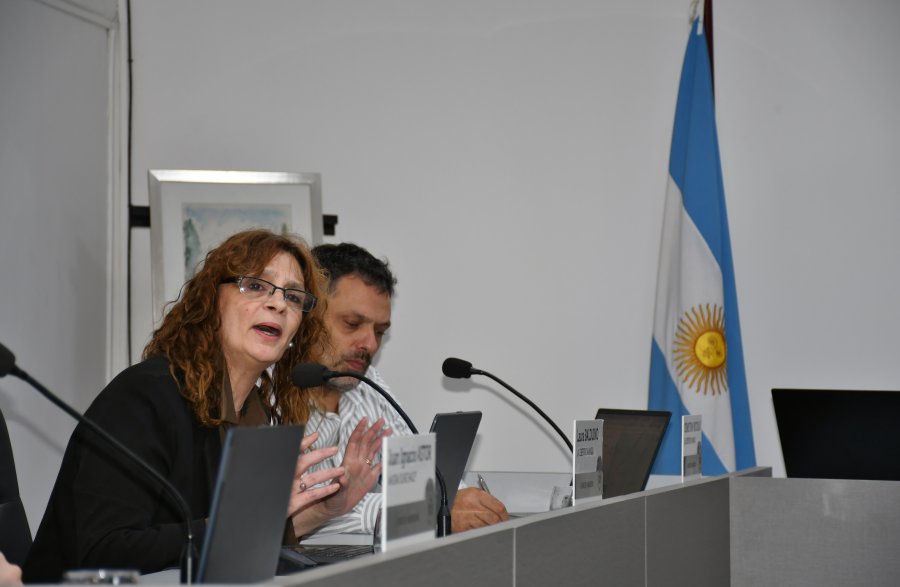 Laura Balduino durante sus fundamentaciones, observa Sebaqsti&aacute;n Nicolau.