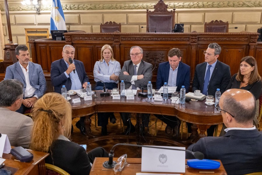 Las autoridades que encabezaron la audiencia en el recinto de la C&aacute;mara de Senadores, entre ellos Alcides Calvo. (FOTO PRENSA SENADO SANTA FE)