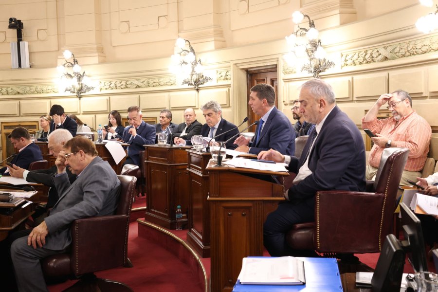El Senado durante la sesi&oacute;n de este jueves en el edificio de la Legislatura en la ciudad de Santa Fe. (FOTO SENADO SANTA FE)