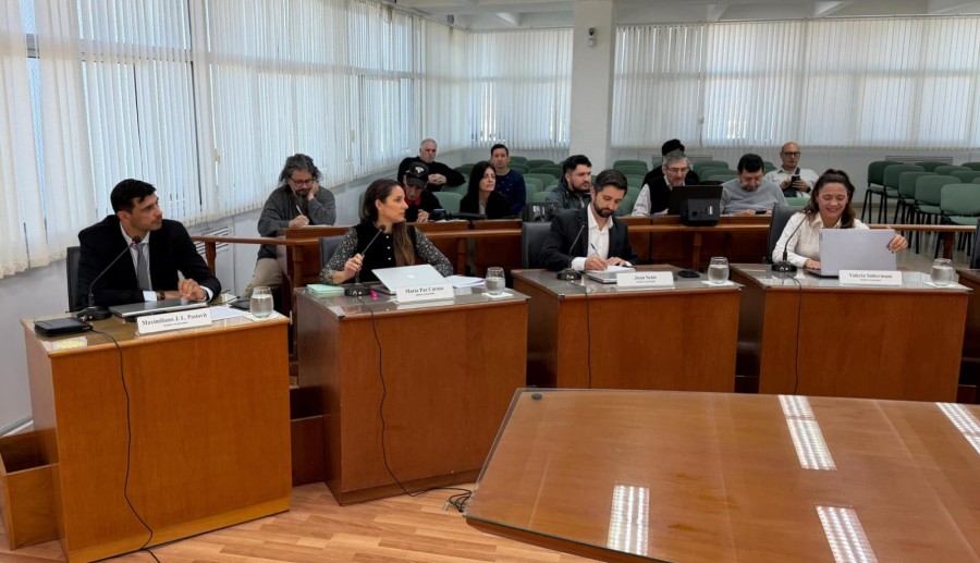 Los concejales del bloque del PJ Maximiliano Postovit, Mar&iacute;a Paz Caruso, Juan Senn y Valeria Soltermam.