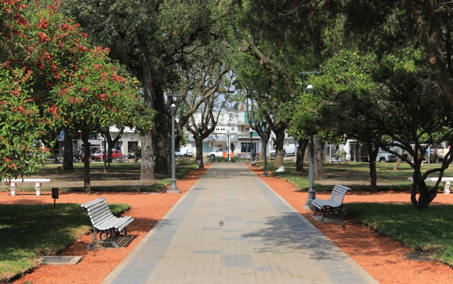 TRANSFORMACION. Contin&uacute;an los trabajos de renovaci&oacute;n en la Plaza 25 de Mayo, incorporando una nueva etapa centrada en la parquizaci&oacute;n del anillo perimetral.