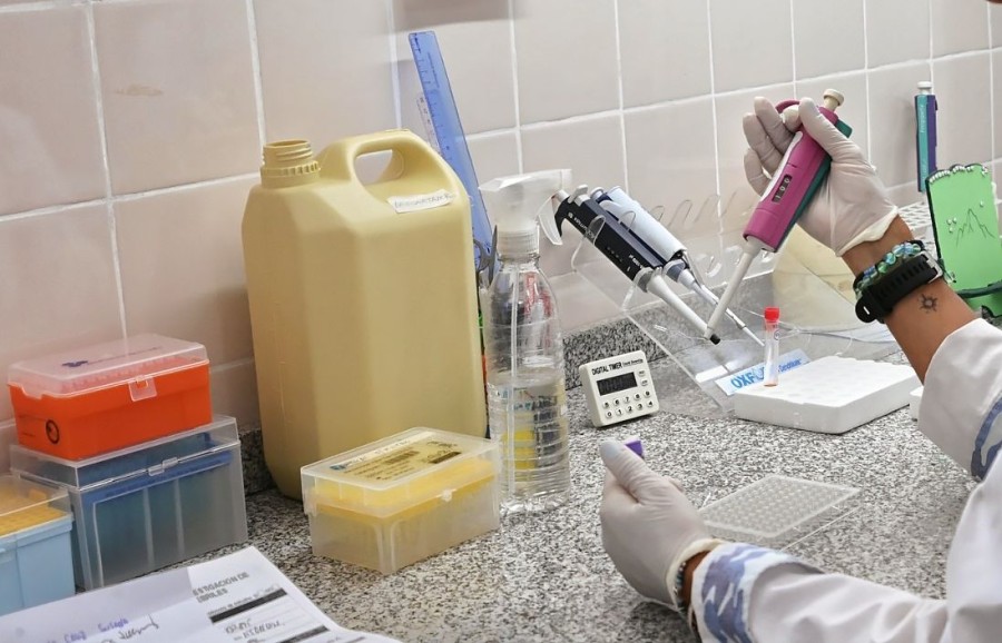 Ahora los efectores de la salud p&uacute;blica santafesina cuentan con las herramientas para detectar casos de psitacosis sin necesidad de enviar muestras al Instituto Malbr&aacute;n de Buenos Aires. (FOTO SCS)