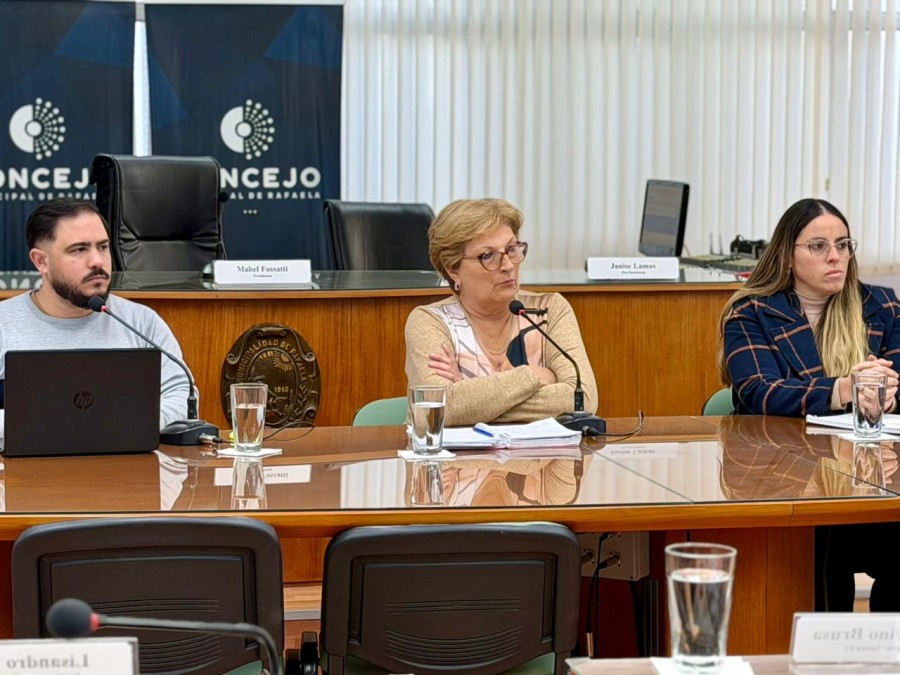 La presidenta del Concejo, Mabel Fossatti, debi&oacute; esforzarse para no perder el control del debate. (FOTO PRENSA CONCEJO)