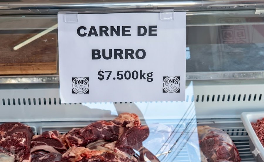 OPERACION INTERNACIONAL. Contin&uacute;a la pol&eacute;mica por la venta de carne de burro en nuestro pa&iacute;s.