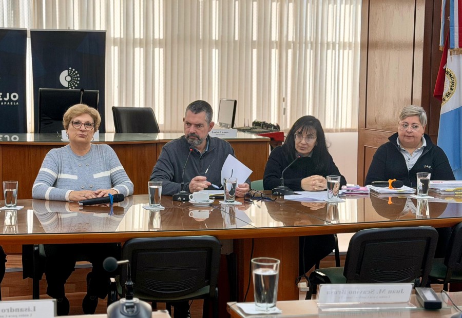 LICENCIAS DE CONDUCIR. Germ&aacute;n Bottero junto a Anal&iacute;a Ca&ntilde;ete y Carina Mustaf&aacute; se reunieron este mi&eacute;rcoles con los concejales.