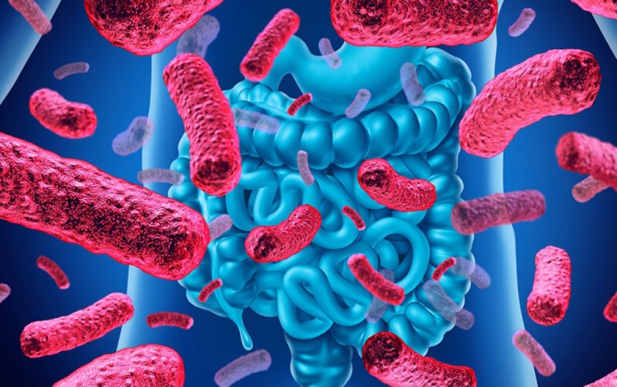 NUEVO ANTIBIOTICO. Est&aacute; dirigido a cuadros severos adquiridos durante la internaci&oacute;n, como complicaciones intraabdominales, urinarias y neumon&iacute;a.
