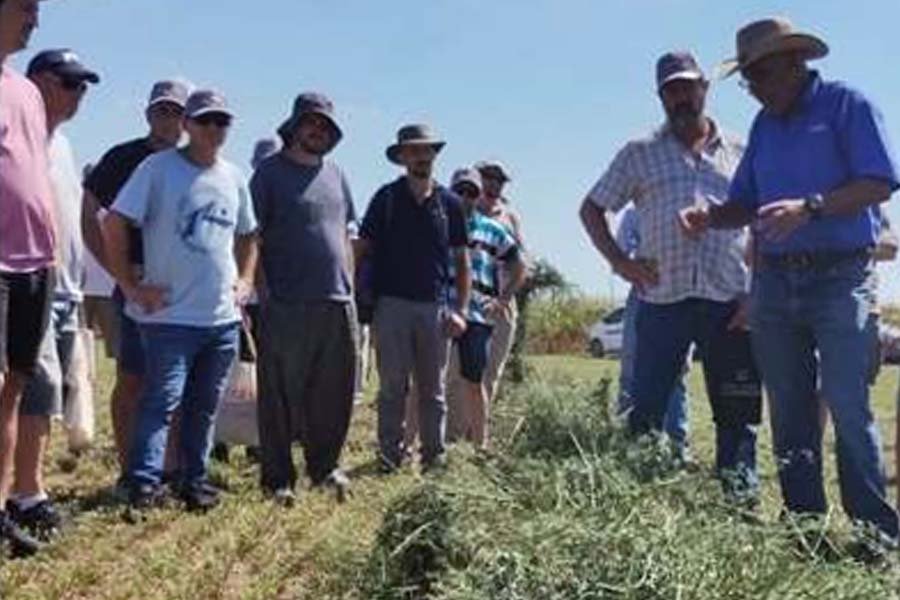 La exhibicio&acute;n est&aacute; prevista para el pr&oacute;ximo mi&eacute;rcoles.
