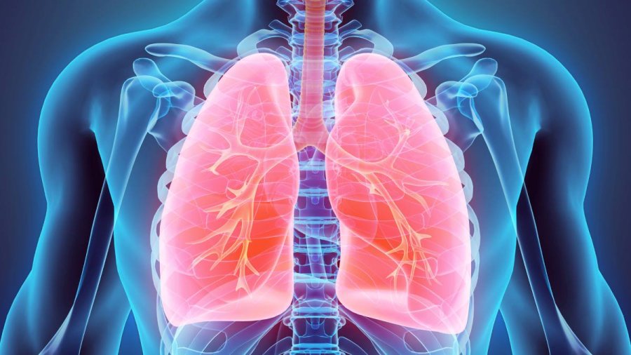 ENFERMEDAD POCO FRECUENTE. En Argentina, los pacientes con hipertensi&oacute;n arterial pulmonar tardan en promedio 16 meses en recibir un diagn&oacute;stico definitivo desde los primeros s&iacute;ntomas.