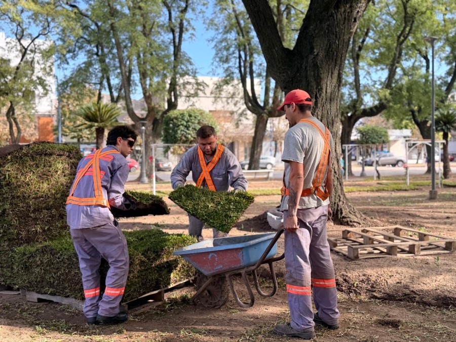 Contin&uacute;a la restauraci&oacute;n de la Plaza 25 de Mayo.