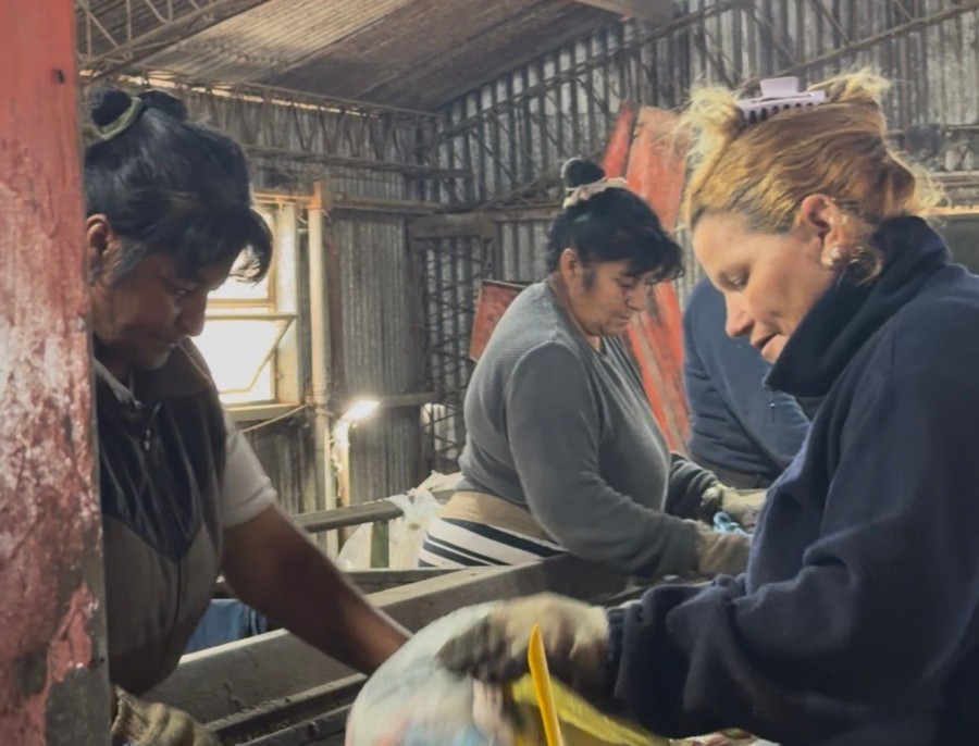En uno de los galpones del Complejo Ambiental donde se separan los residuos recuperables. (FOTO PRENSA MUNICIPAL)