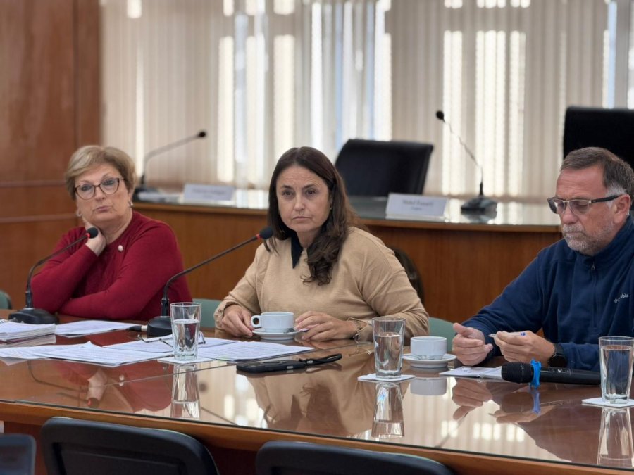 REUNION. El objetivo fue dialogar sobre el proyecto destinado a fomentar la radicaci&oacute;n, expansi&oacute;n, fortalecimiento y formalizaci&oacute;n de empresas y emprendimientos, entre otras prioridades.
