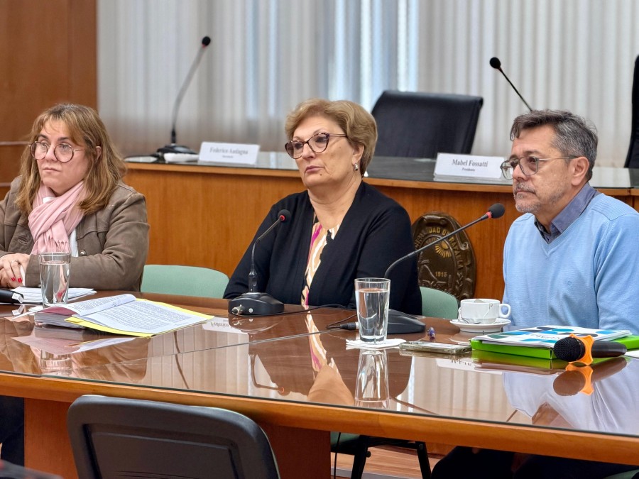 El proyecto se enmarca en una ordenanza que tendr&aacute;n que votar los ediles en las pr&oacute;ximas semanas.