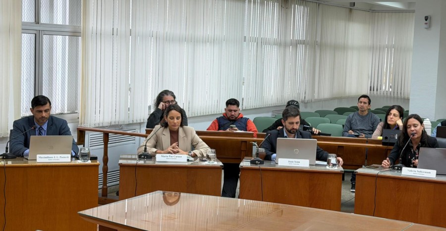 Maximiliano Postovit, Paz Caruso, Juan Senn y Valeria Soltermam durante la sesi&oacute;n de este jueves en el Concejo.