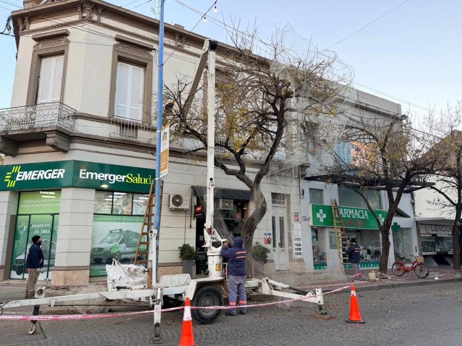 Actualmente son tres las redes colocadas en el &aacute;rea central.